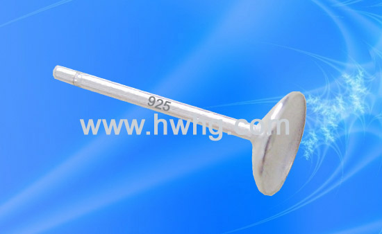 H168A