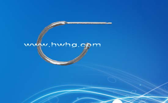 H1006