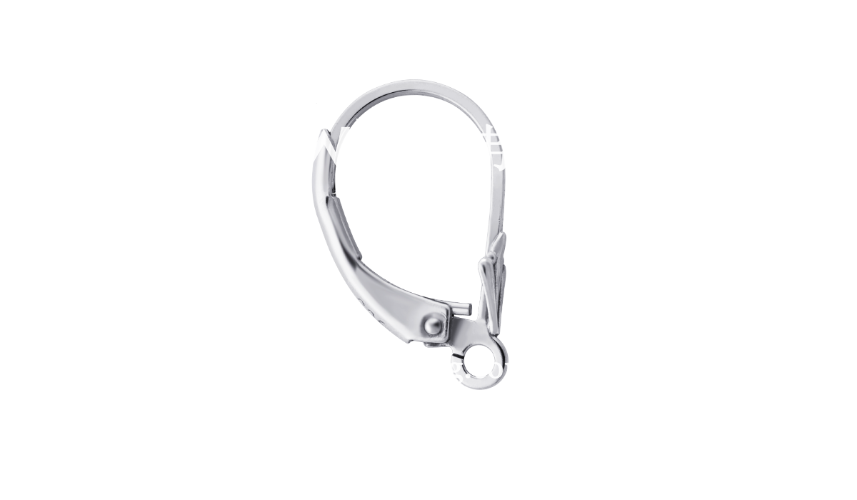 H1651