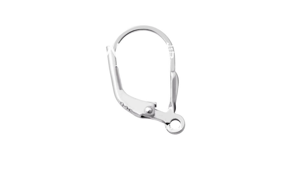 H2450